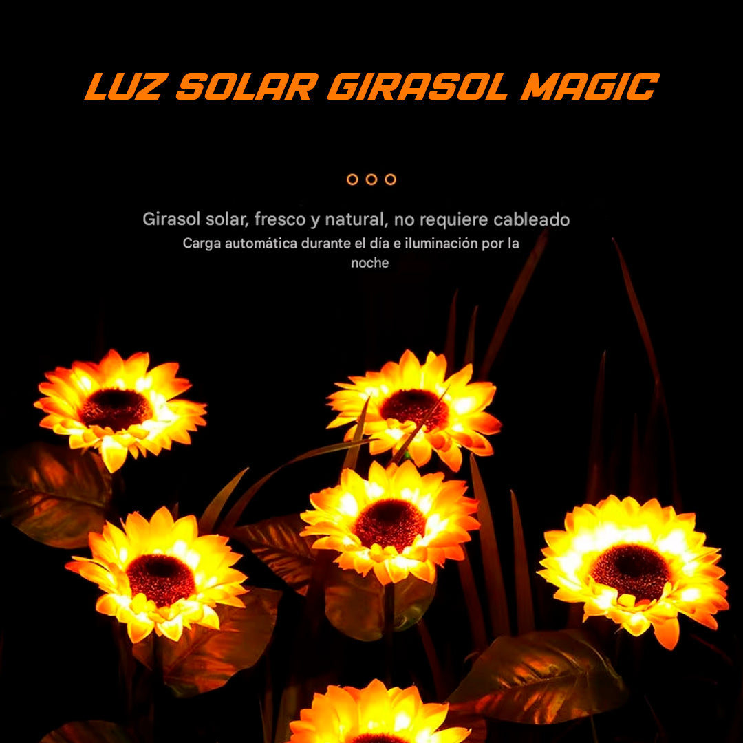 PACK LUZ SOLAR GIRASOL - MAGIC DREAM™
