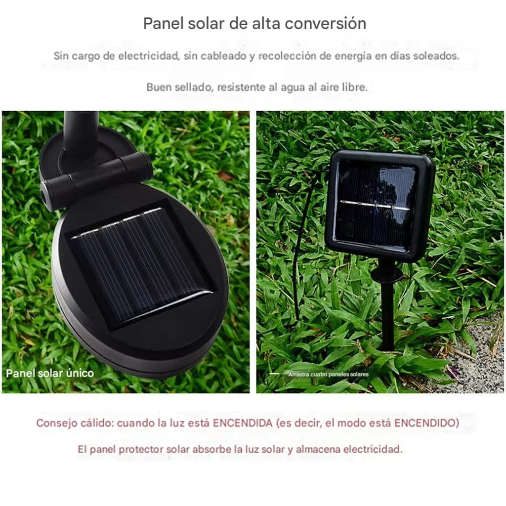 PACK LUZ SOLAR GIRASOL -  MAGIC DREAM™