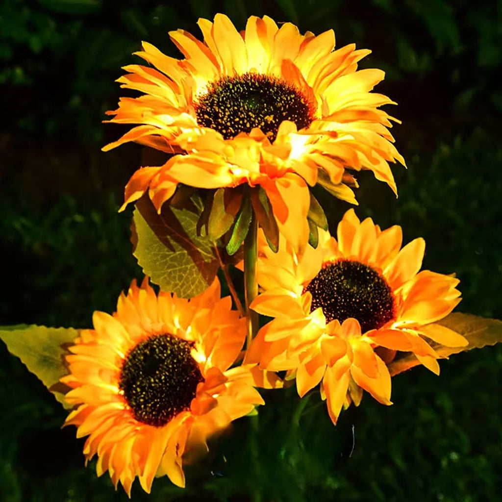 PACK LUZ SOLAR GIRASOL -  MAGIC DREAM™