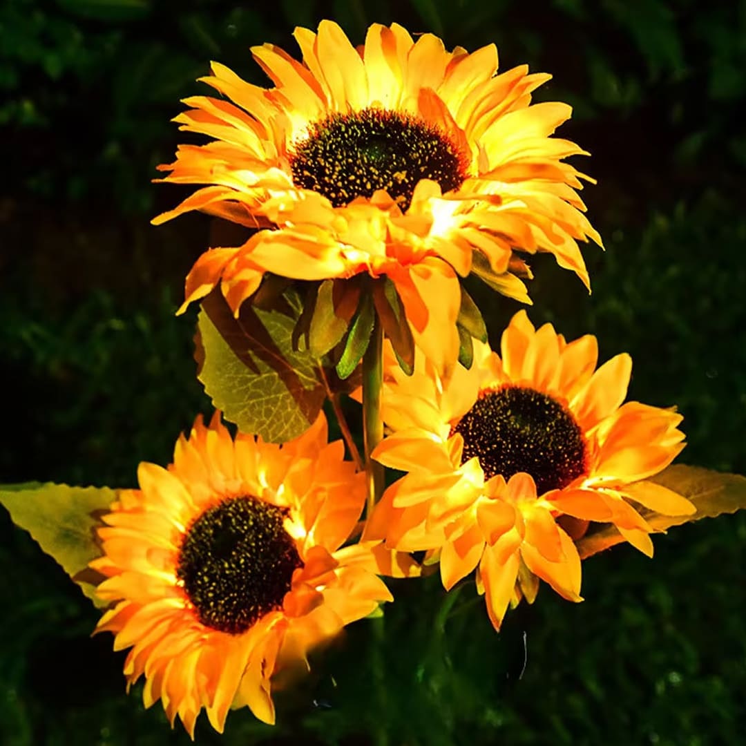 PACK LUZ SOLAR GIRASOL -  MAGIC DREAM™